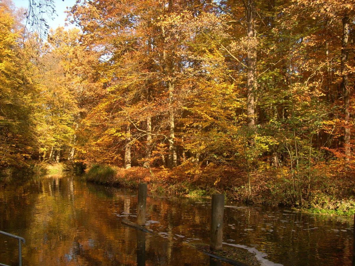 Apartment Hainbuche Im Spreewald