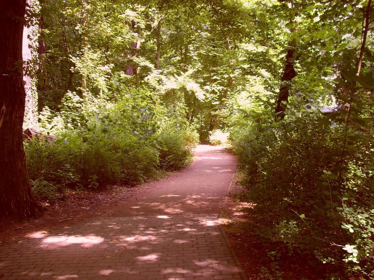 Апартаменты Hainbuche Im Spreewald Люббен
