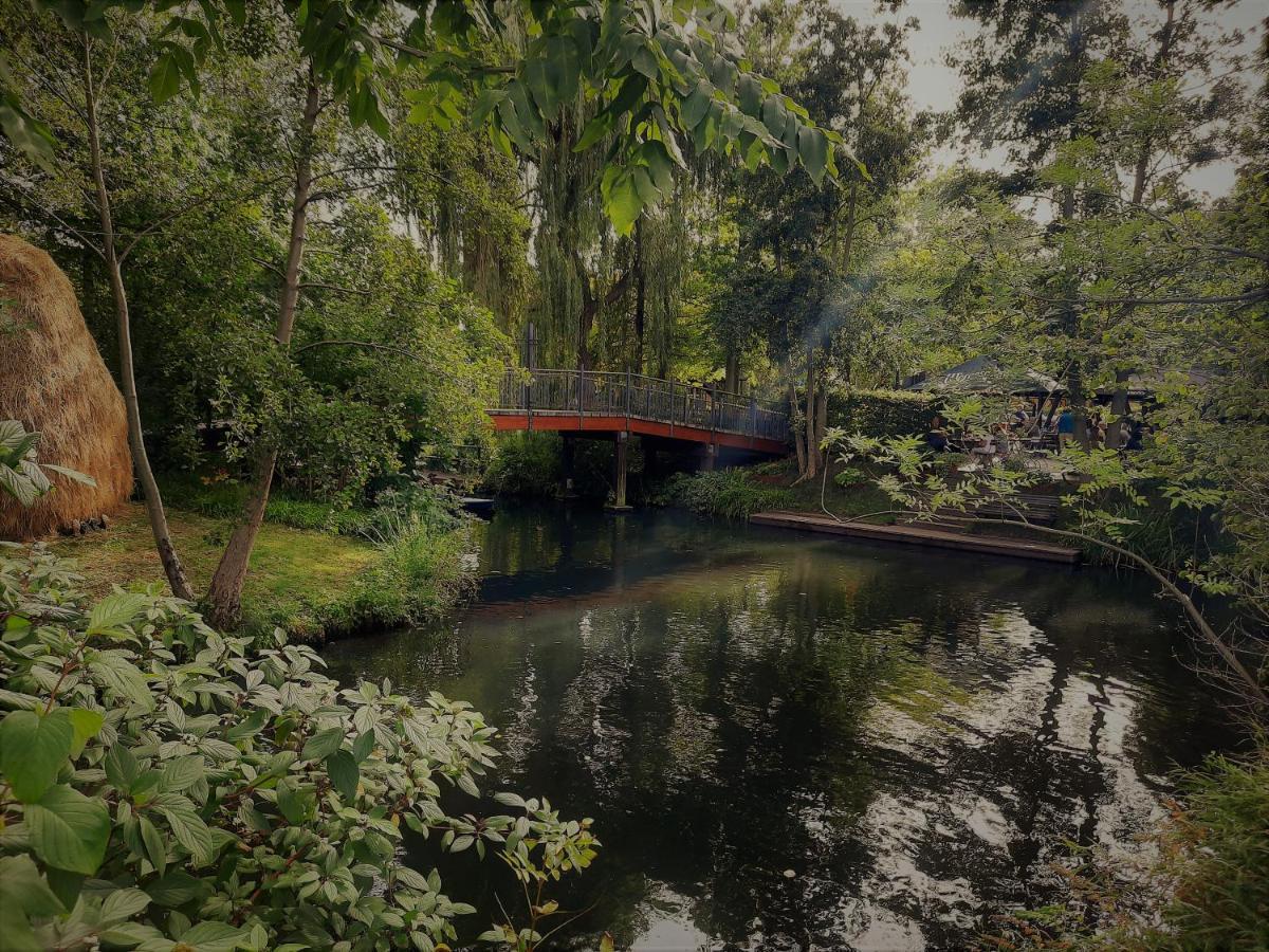 Hainbuche Im Spreewald * Lubben