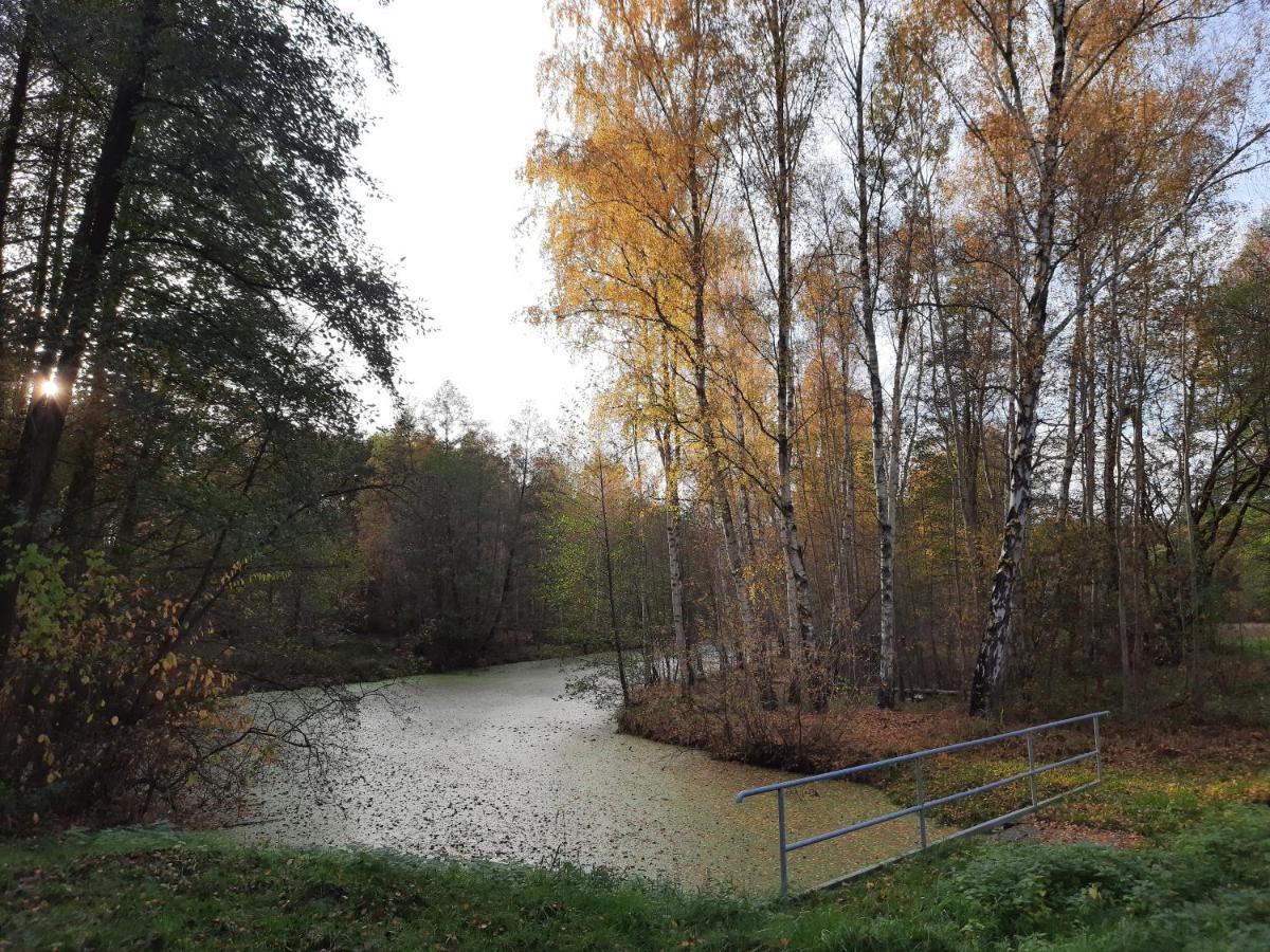 Hainbuche Im Spreewald Apartment